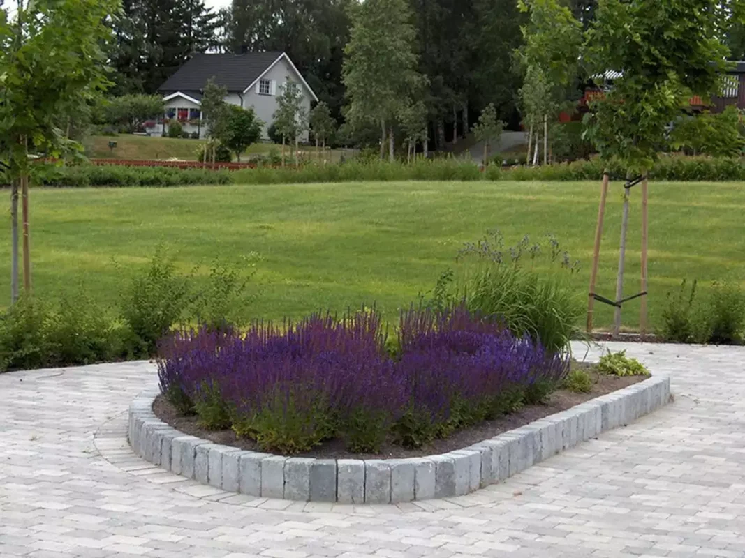 a circular garden bed with purple flowers in the middle.