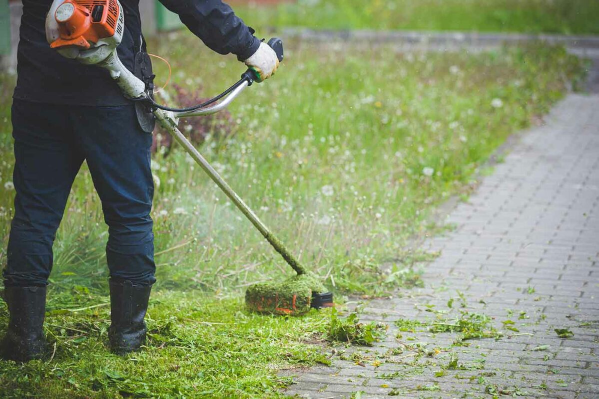 a man using a lawn mower to cut grass.