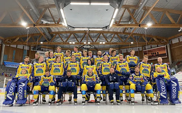 a team photo of the swedish ice hockey team.